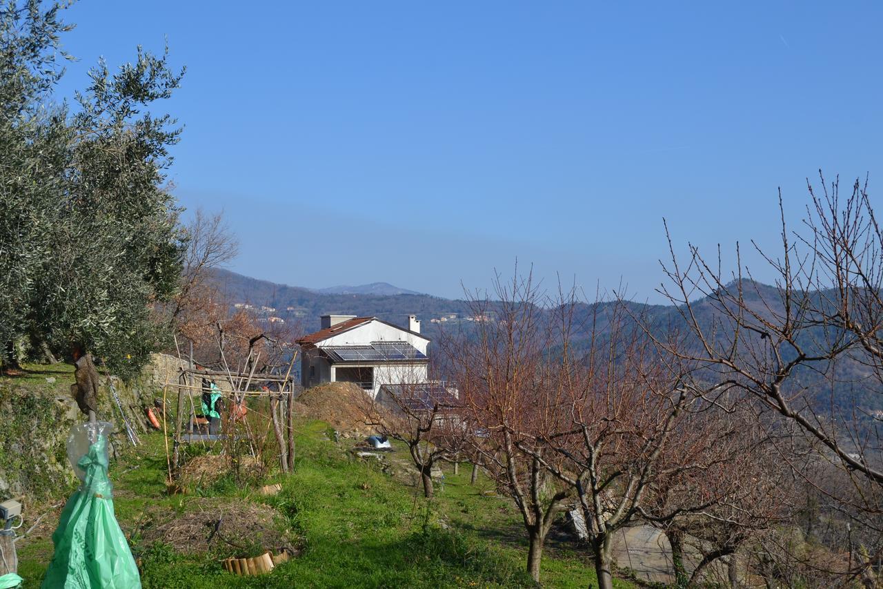 Joie De Vivre Bed and Breakfast Calice Ligure Exteriör bild